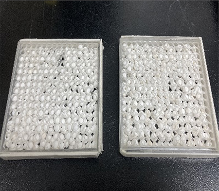 �����˸�